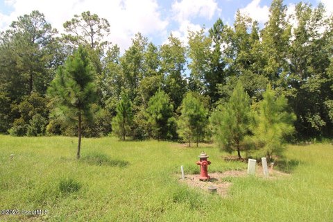 Land, Brunswick, GA