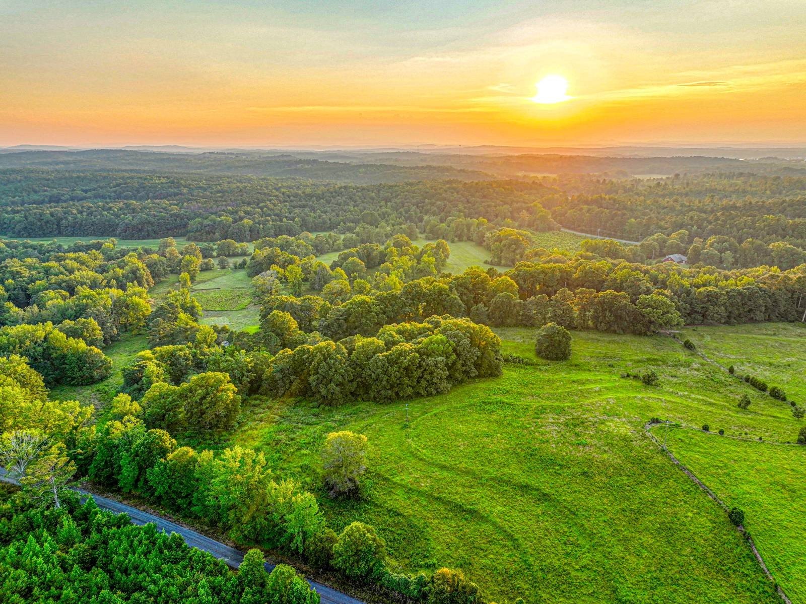 94 Acres Pasture and Timberland