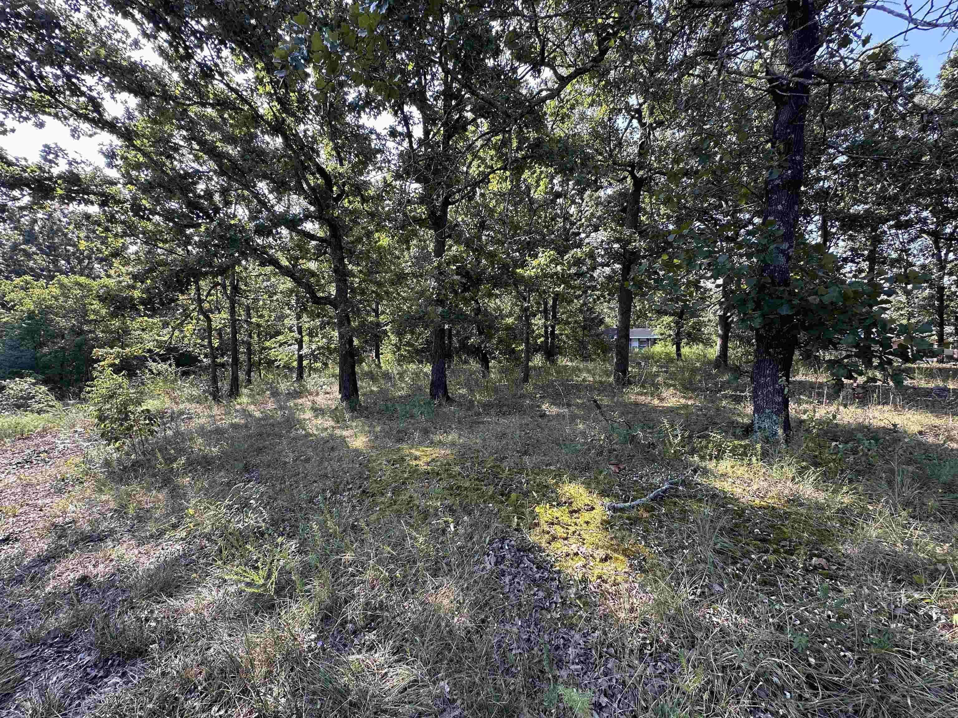 Horseshoe Bend Acreage with Lakeview