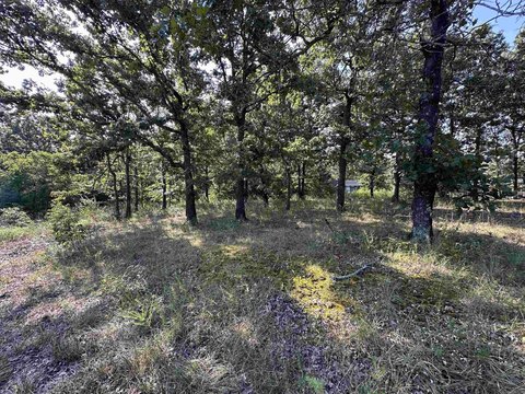 Horseshoe Bend Acreage with Lakeview