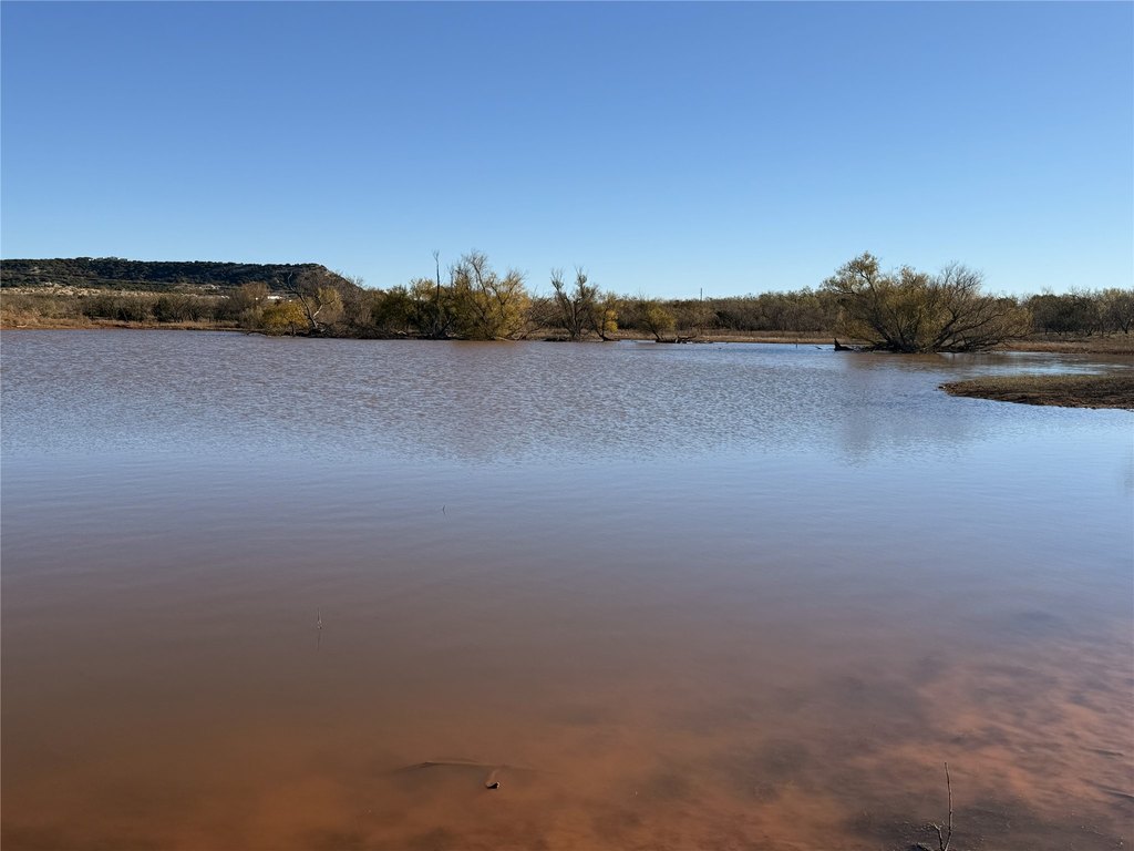 Picture 25