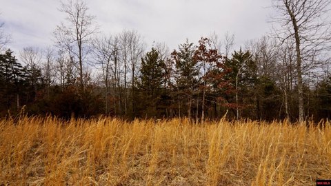 Gepp, AR Wooded Land