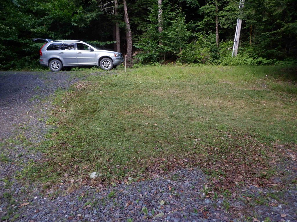 Picture 6