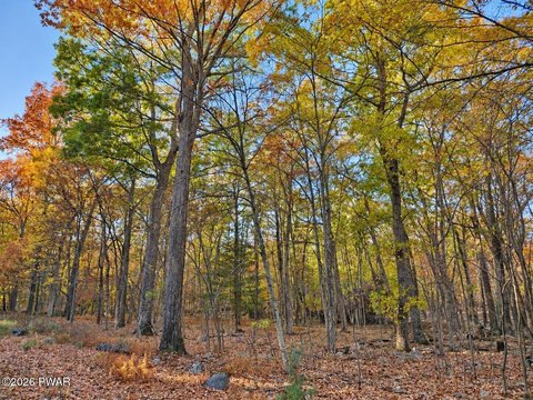 Land, Dingmans Ferry, PA