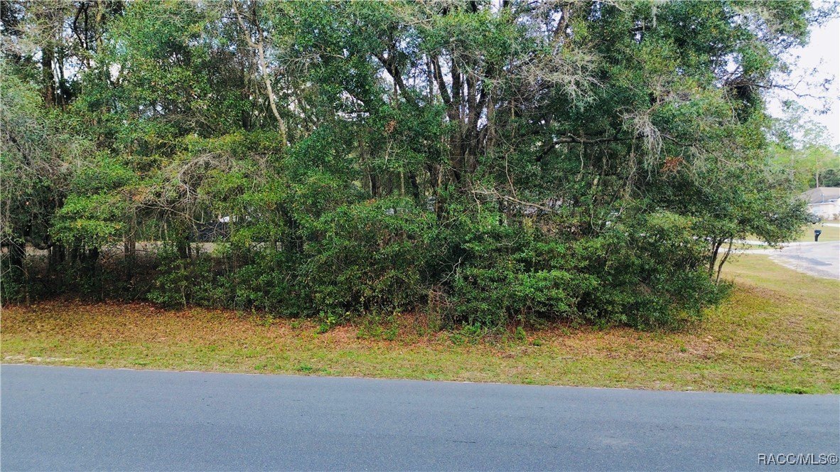 Corner Lot in Citrus Springs