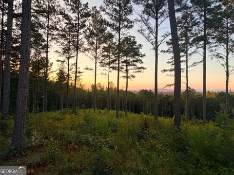 Land, Ellijay, GA