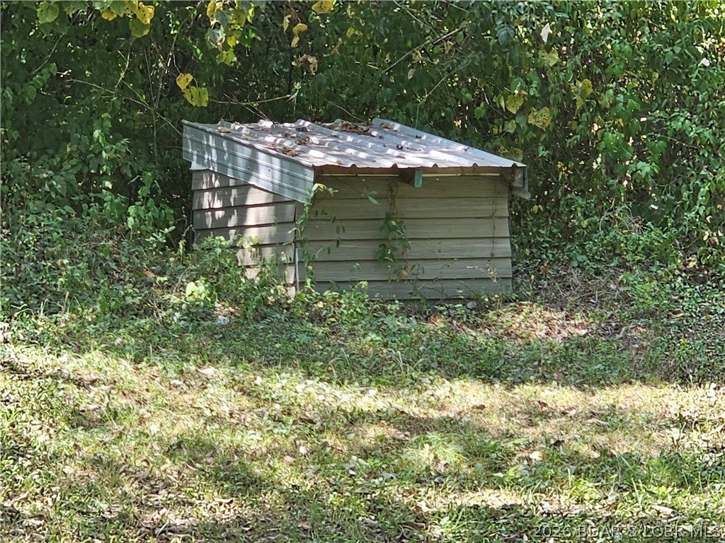 Picture 3