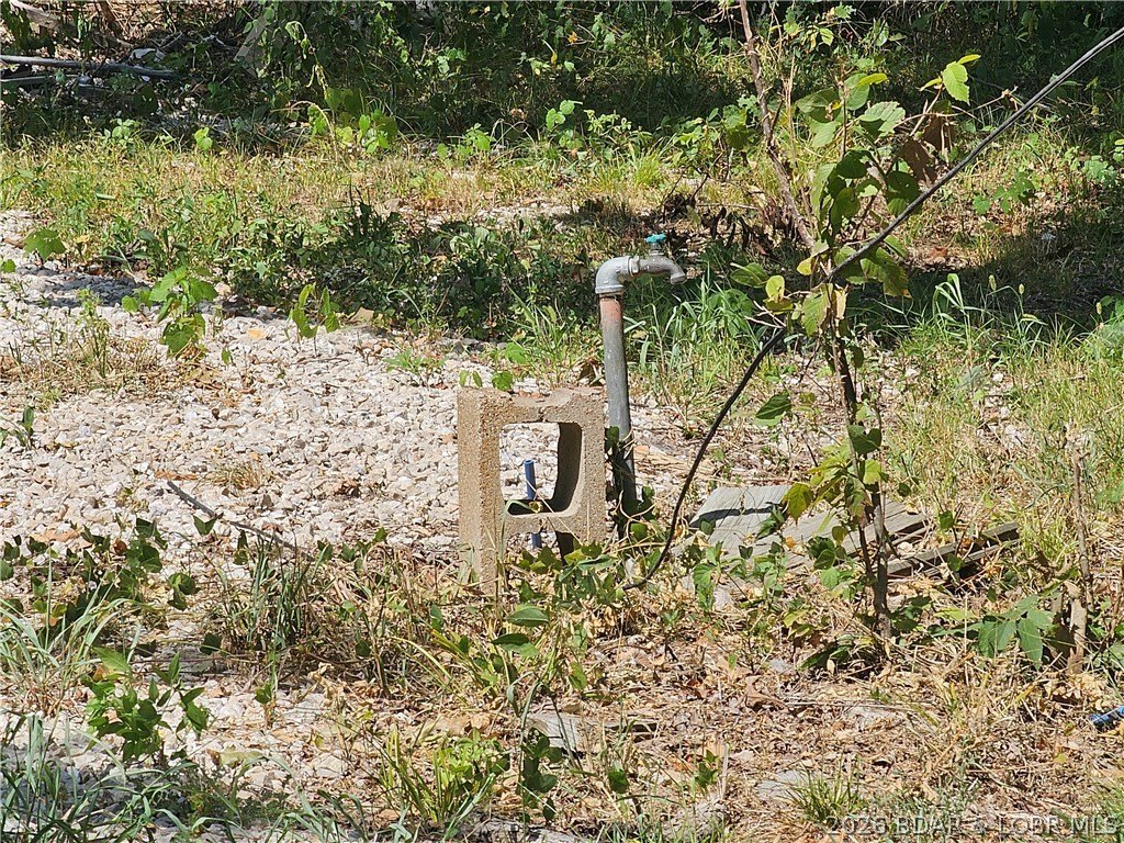 Picture 5