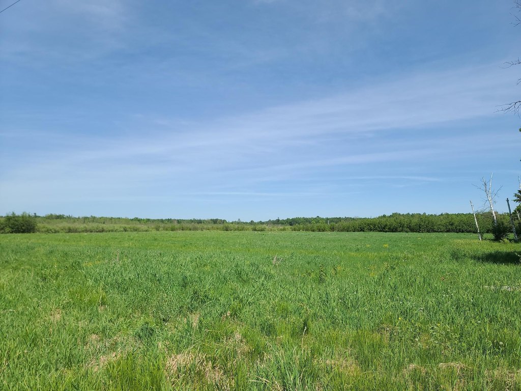 Picture 25