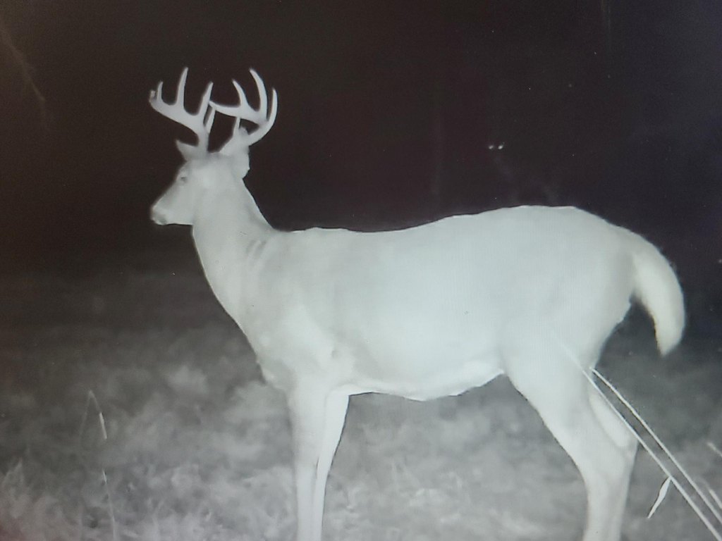 Picture 14