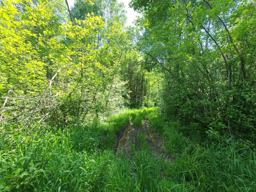 Picture 8