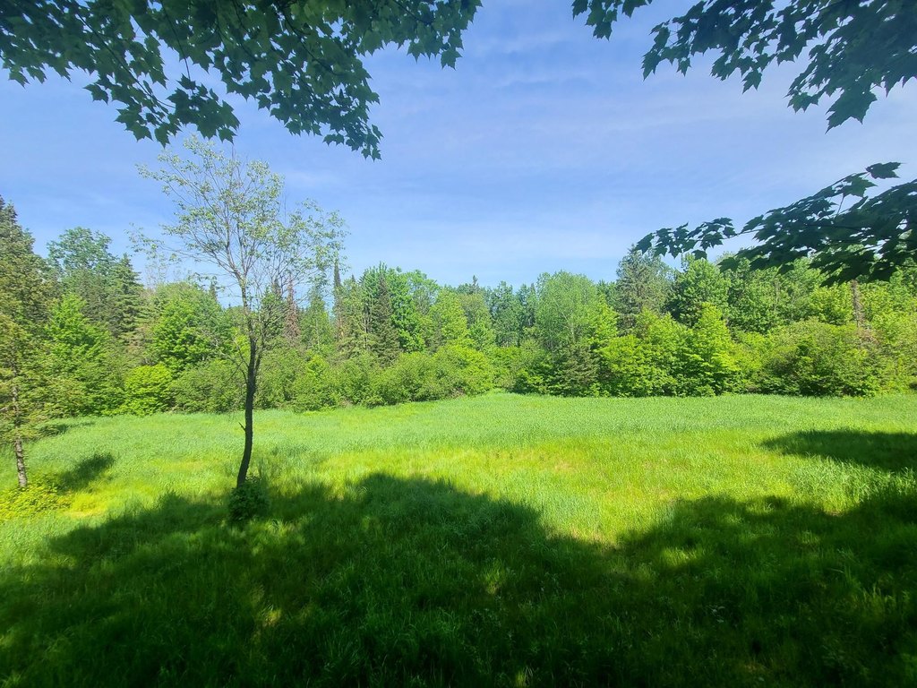 Picture 20