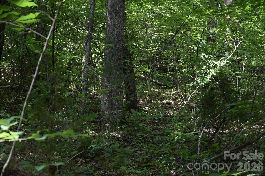 Picture 23