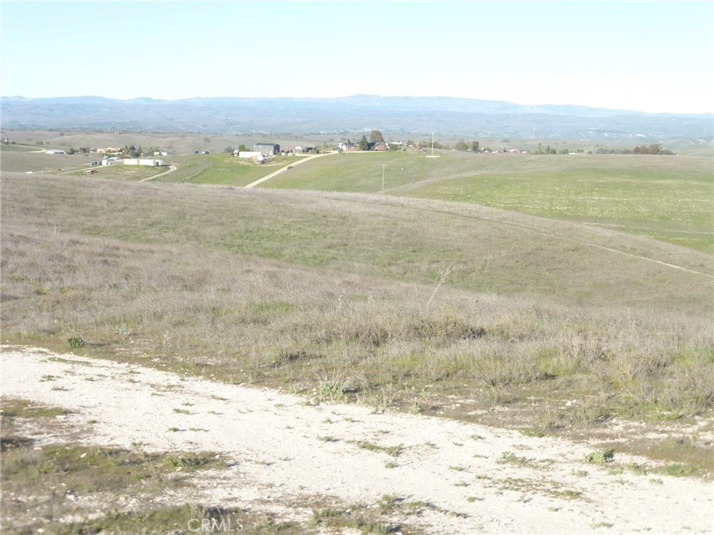 Picture 39