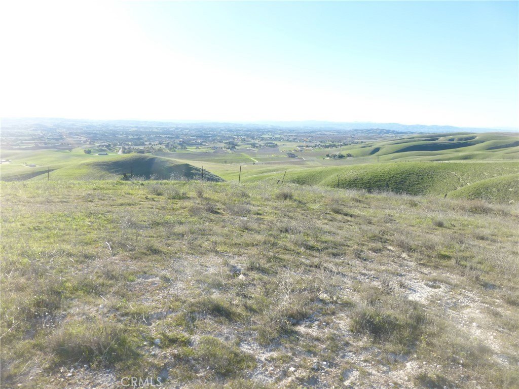 Picture 41