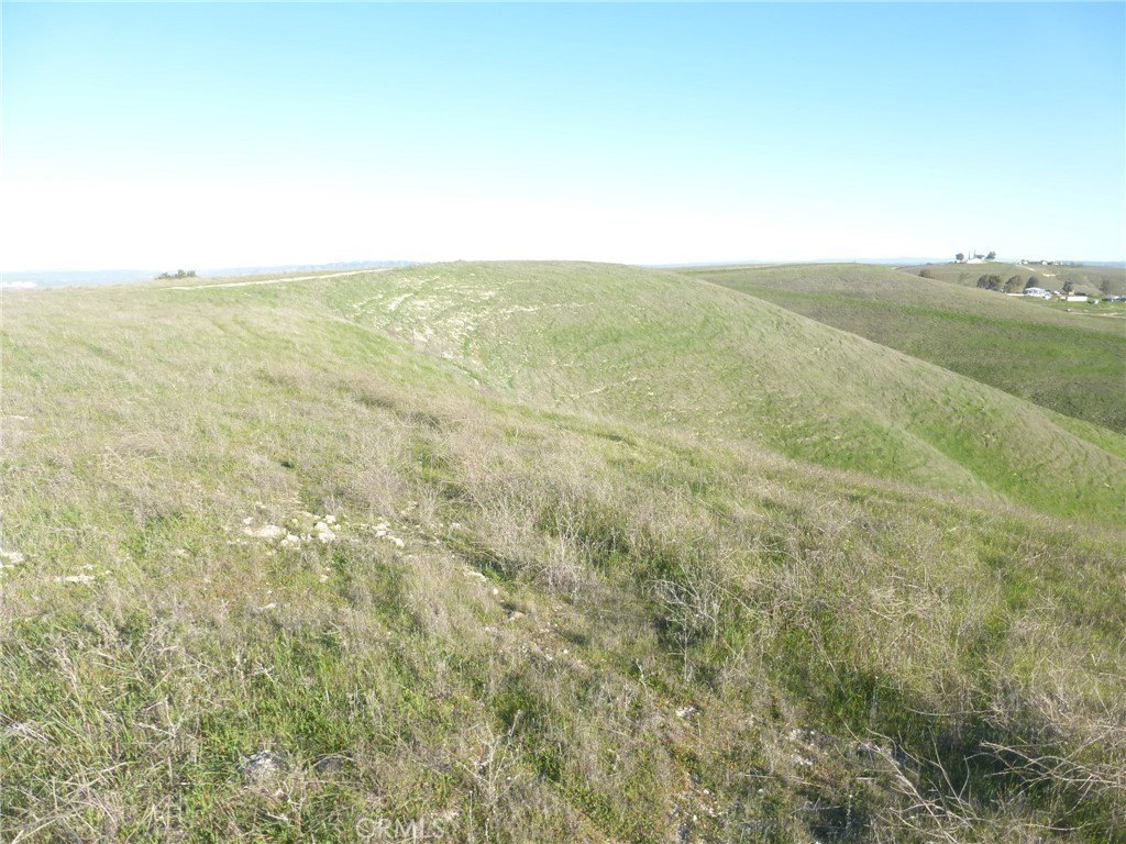 Picture 49