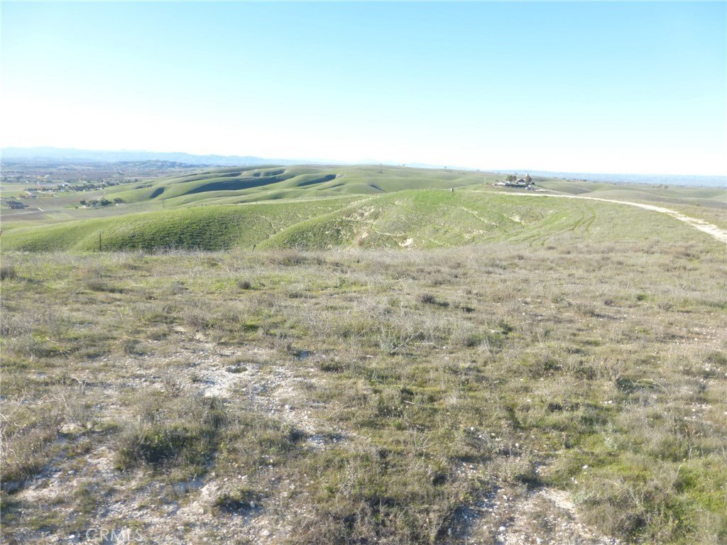 Picture 40