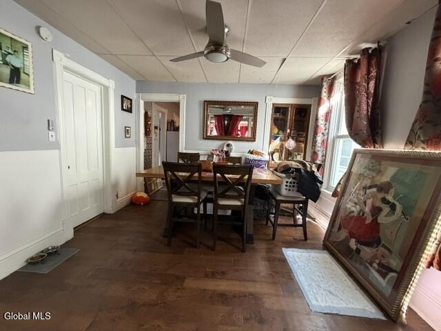 Picture 23