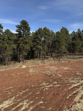 Residential Building Lot in Subdivision