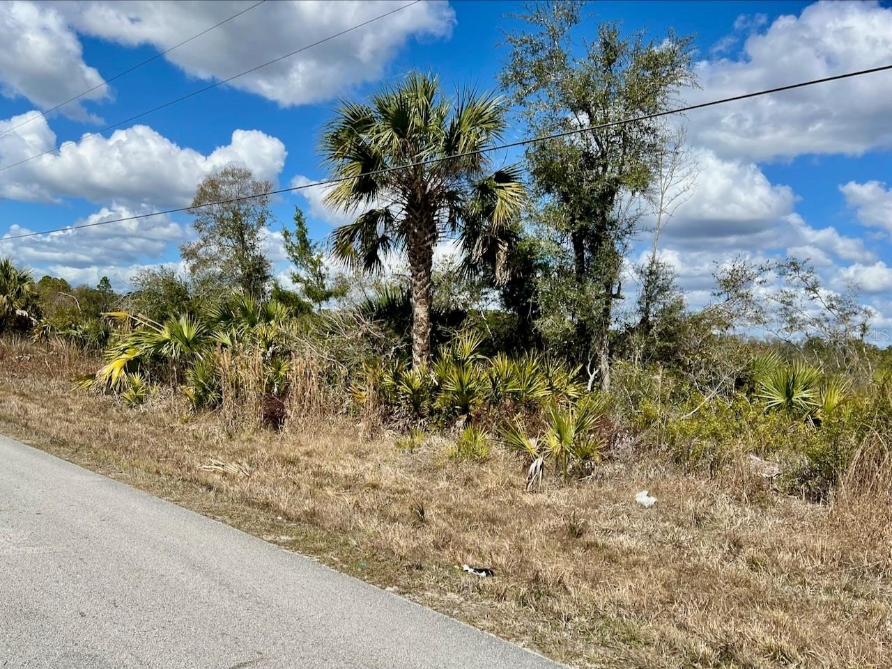 50-Acre Coastal Land Parcel
