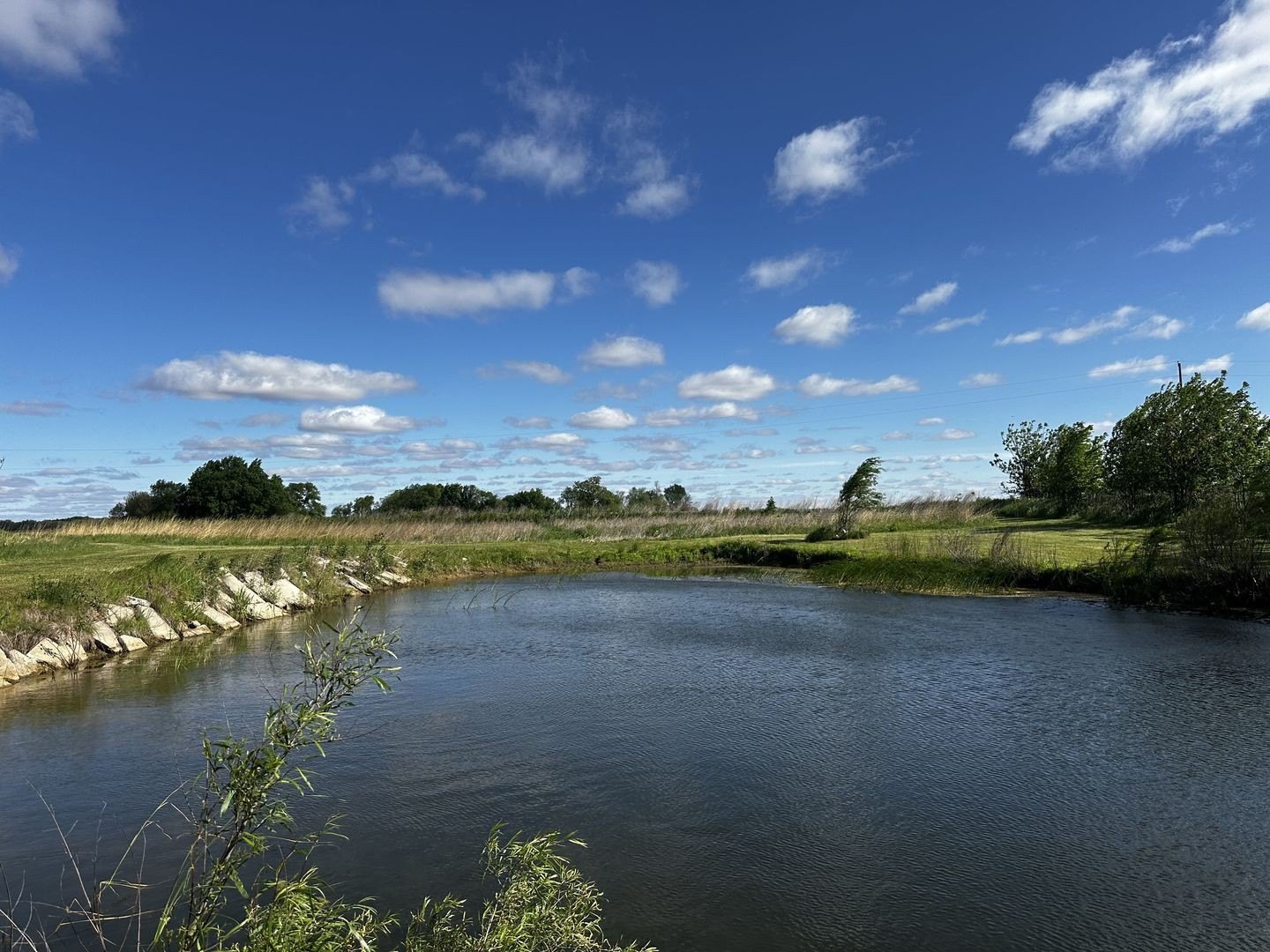 Land in Dewitt, Illinois