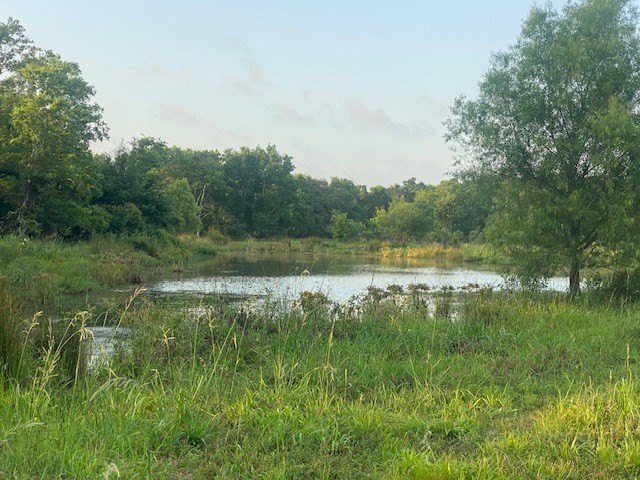 Picture 18