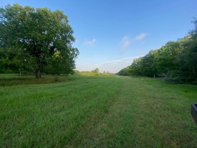 Picture 23