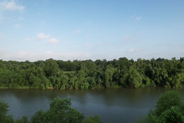 Picture 41
