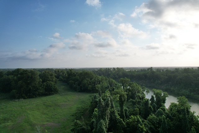 Picture 49