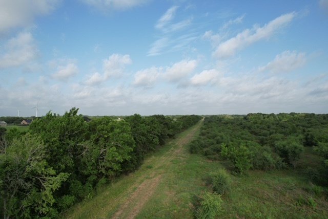 Picture 63