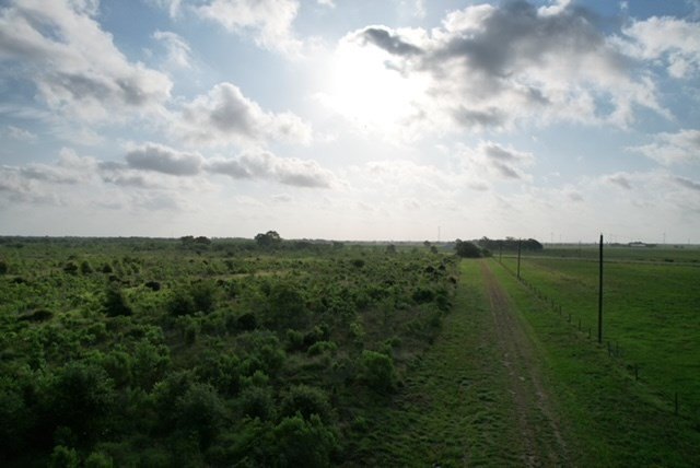 Picture 57