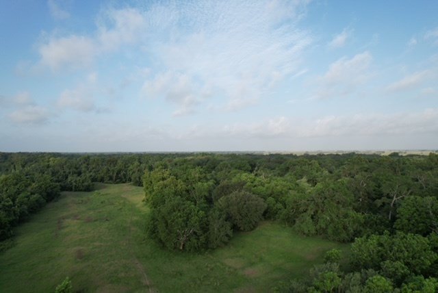 Picture 47