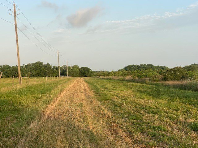 Picture 13