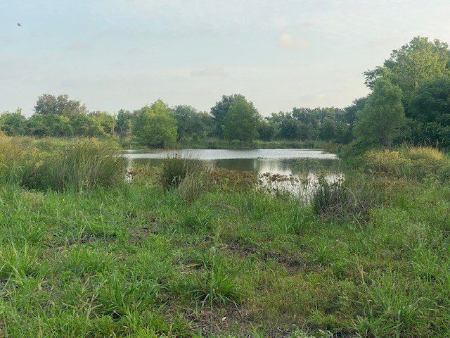 Picture 29