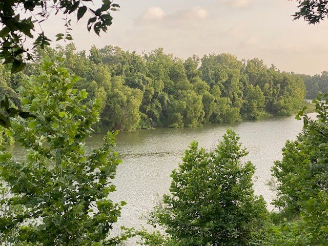 Picture 40