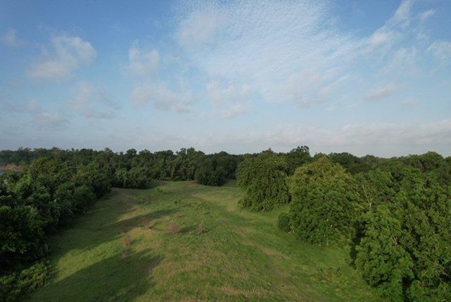 Picture 45