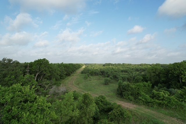 Picture 58