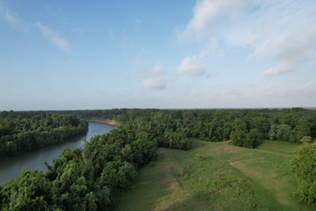 Picture 50