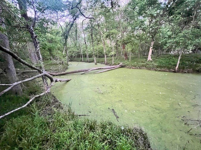 Picture 11