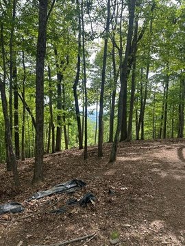 Mountain Land with Building Potential