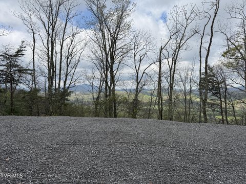 Mountain View Estate Property