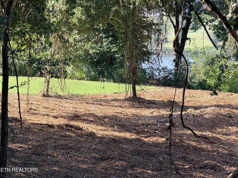 Dock-Able Lakefront Lot