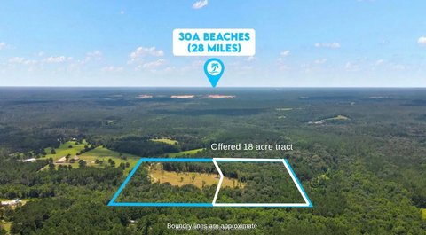 Walton County Land Opportunity