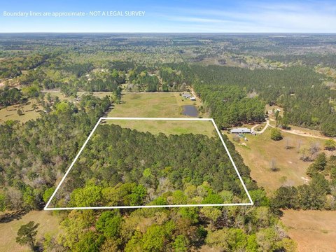 Poplarville Land with Wooded Areas