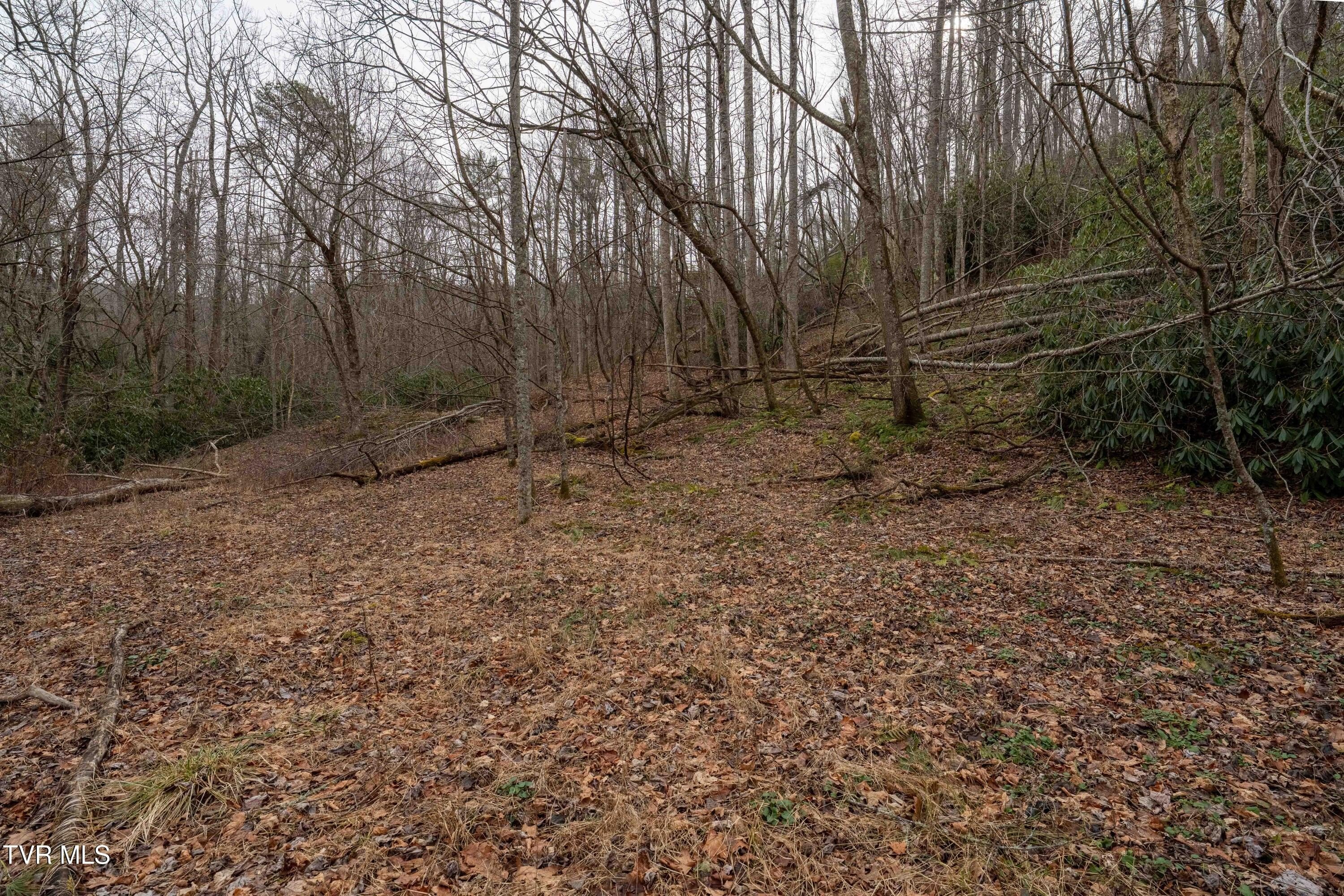 8.2 Acres Wooded Land