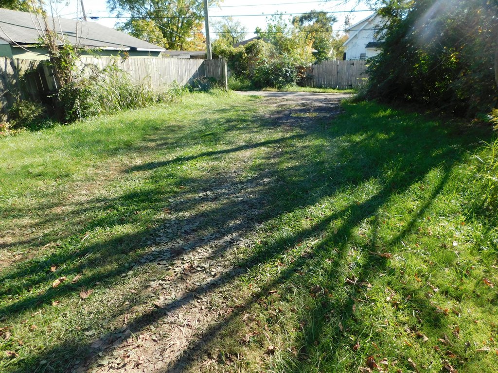 Picture 4