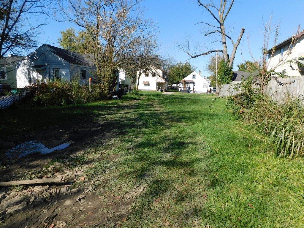 Picture 2