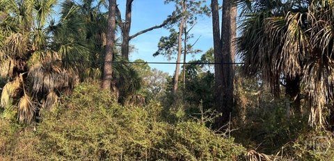 Land, Tybee Island, GA