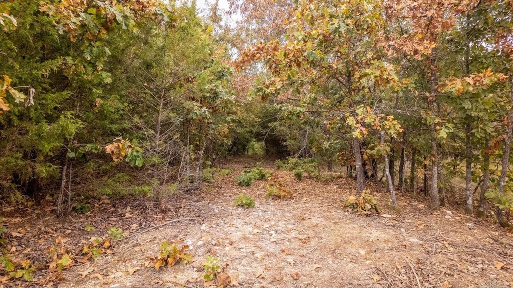 Picture 18