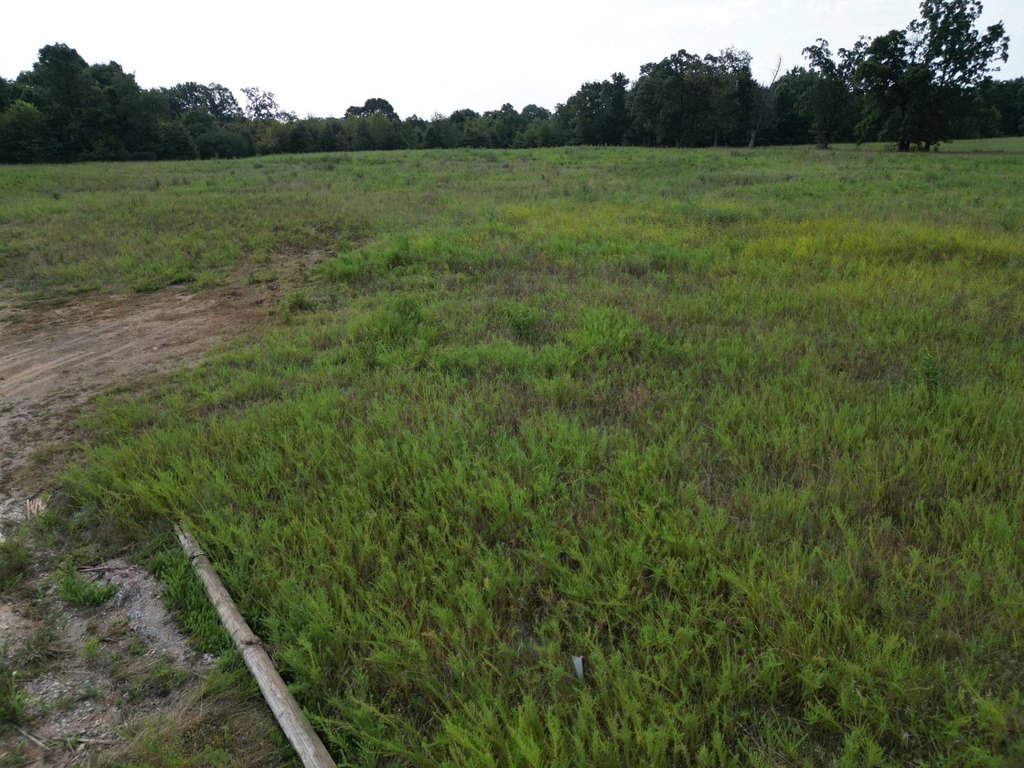 Picture 10
